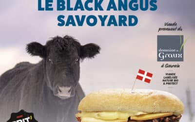 Un Savoyard tout schuss!